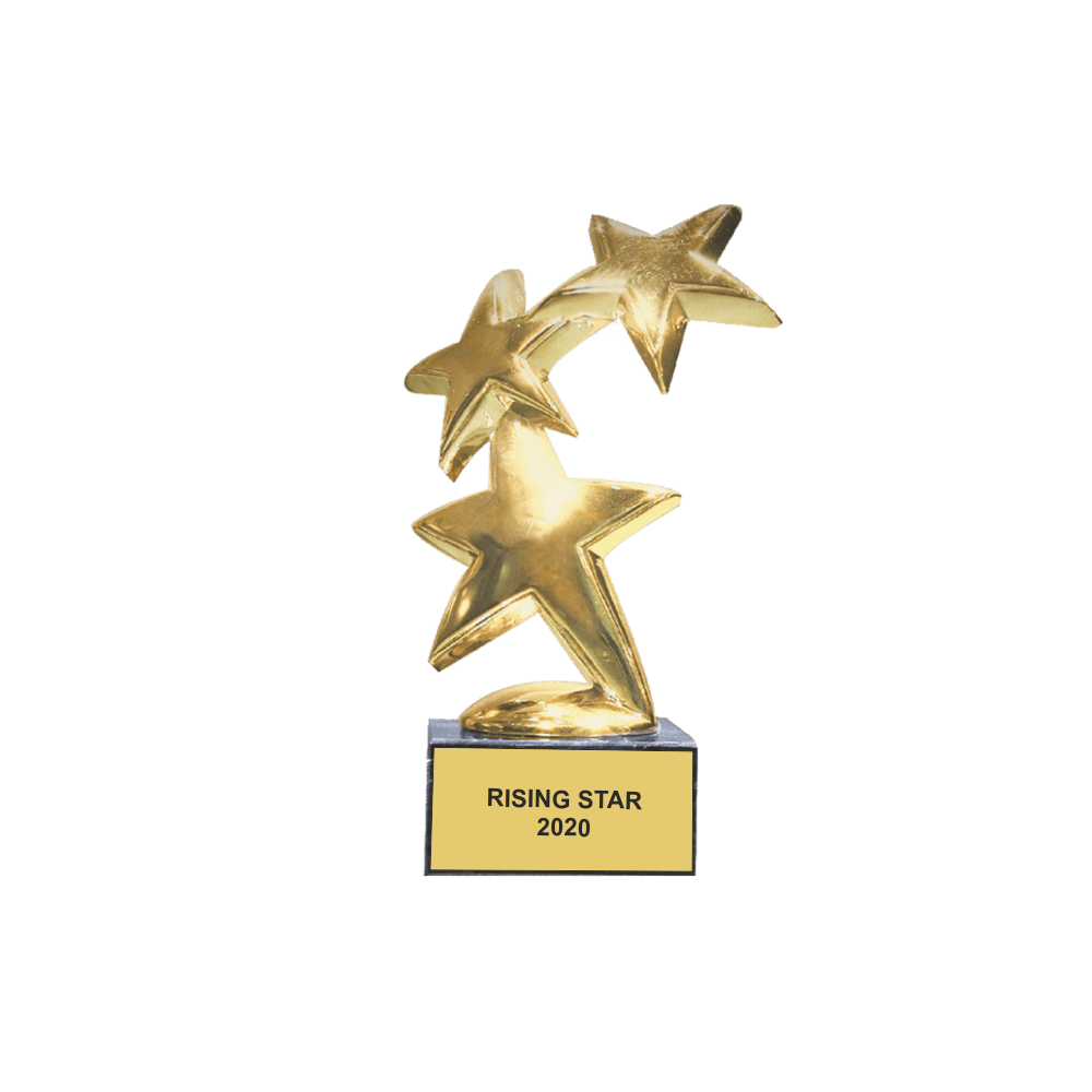 Masaccio wagon haspel 3 sterren award €195.00 - Award Kopen? | Trofee-award